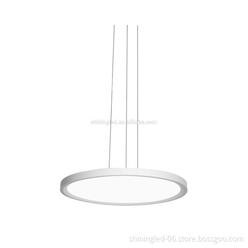 Decoration lights indoor lighting fancy Pendent
